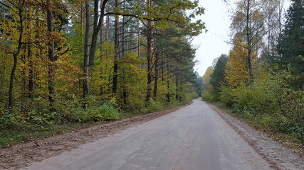 a typicall road in podlasie (poland)
