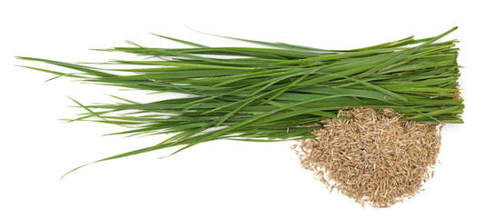 Green grass and seeds.