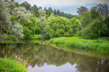 Beautiful summer landscape with river and trees.