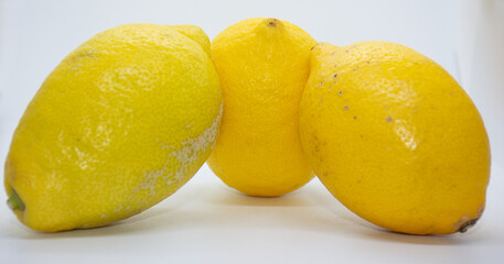lemons on a white 