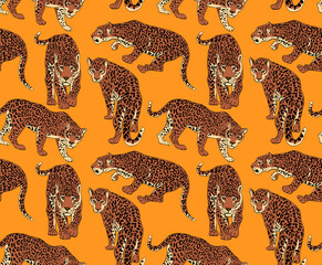Seamless pattern with a different wild Jaguars on a orange background. Textile composition, hand drawn style print. Vector illustration.
