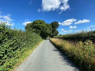 Fototapeta na wymiar Looking up, Wescoe Hill Lane, with high hedgerows, wild grasses, and blue skies in, Weeton, Harrogate, UK