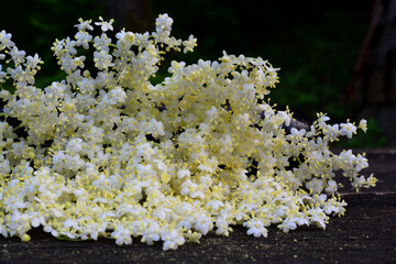 Heap of elderflower on dark wooden table