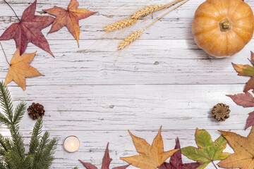 Copy space with the dry leaves and the autumn fruits in the white wood