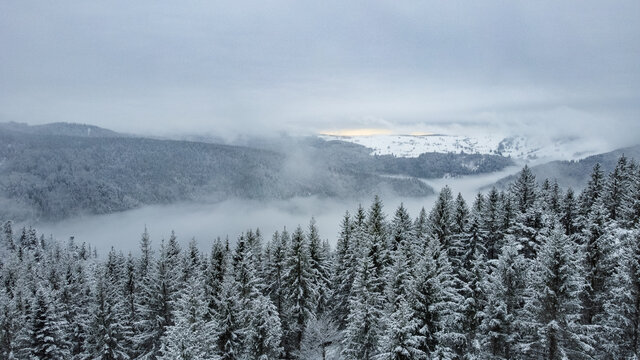 Schwarzwald Wald im Winter bei Schnee und Nebel mit Drohne