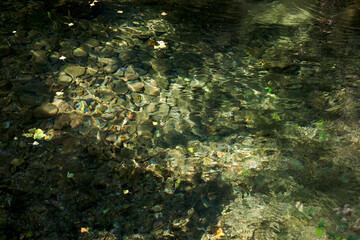 Crystal clear waters of mountain river