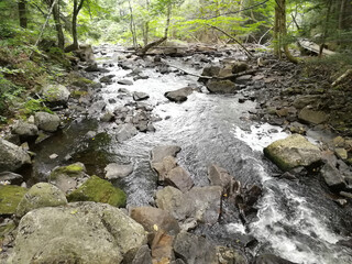 Travelling around Canada: Ontario and Quebec