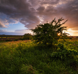 Fototapeta na wymiar Spring evening meadow after rain, cloudy sunset sky with sunshine through bush branches, rural hills and fields in far. Natural seasonal, weather, climate, travel, countryside beauty concept scene.