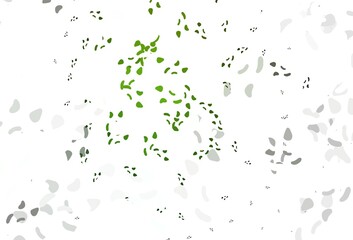 Light green vector texture with random forms.