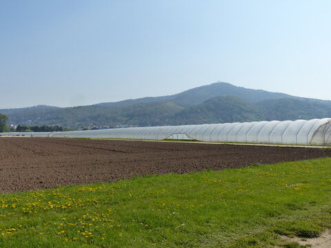 Folientunnel 이미지 – 찾아보기 473 스톡 사진, 벡터 및 비디오 | Adobe Stock