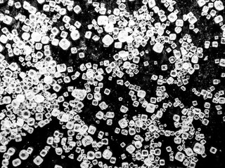 Top view of grains of salt on a black background