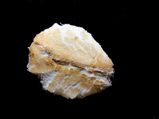 Close up of oats isolated on black background