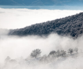 Obraz na płótnie Canvas amazing winter landscape with fog and frosty trees in Romania