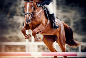 The red horse overcomes an obstacle.Show jumping