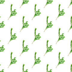 Fresh green rosemary leaves, twigs and branches seamless pattern on white background.