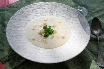 Homemade fresh seasonal white asparagus cream soup in sun lights