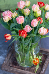 Spring bouquet with licht pink fresh garden tulips