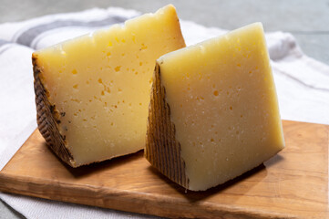Spanish cheese manchego made from sheep milk