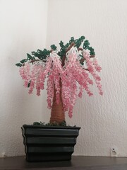 bonsai tree in a vase