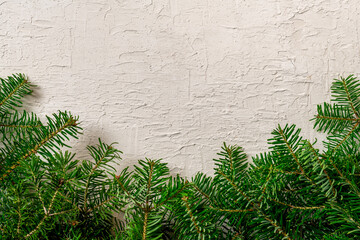Pine tree branches on stucco wall. Background or greeting card template. Copy space.