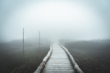 Bridge parth covered in fog in the winter mountain swamps, Krkonose, Czech Republic