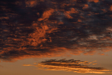 sunset on the beach