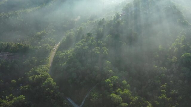Aerial view of hill at borneo / forests, roads and slopes