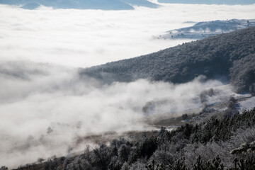 amazing winter landscape with fog and frosty trees in  Romania