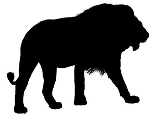 ライオンシルエット_7