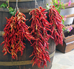 Naklejka premium Peperoncini in agriturismo in Calabria