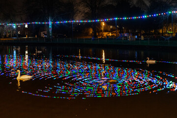 Christmas lights over the duck pond.  Reflections in the water.
