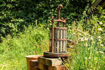 Fototapeta premium old small wooden fruit press