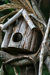 
Bird house in rustic wood