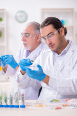 Two chemists working in the lab