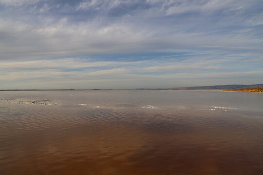 Beach Landscape at the Alviso Salt Flats