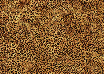 animal skin pattern	
