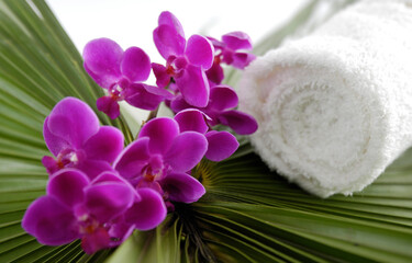 Concept for spa salon,with three towel and branch pink orchid., stones , herbal ball,  on gray background,