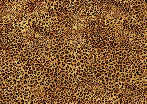 animal skin pattern	
