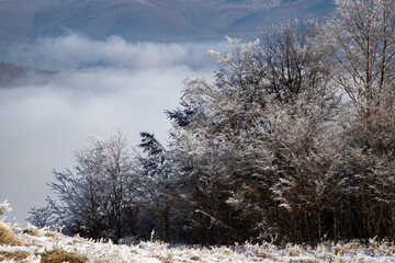 amazing winter landscape with fog and frosty trees in  Romania