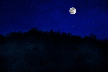 Obraz na płótnie Canvas Mountain Road through the forest on a full moon night. Scenic night landscape of dark blue sky with moon. Azerbaijan
