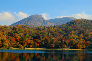 湖に反面する鮮やかな霧島の紅葉樹