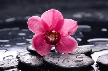 Rolgordijnen Zen-levensstijl  stapel zen nat Stenen en macro van orchideebloemen op zwarte achtergrond. © Mee Ting