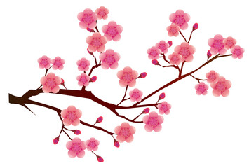 梅　春　花　アイコン