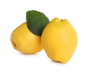 Fresh ripe quinces with leaf on white background