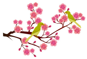 梅　春　花　アイコン