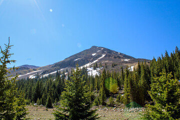mountain peak with trees