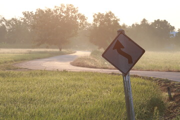 Close up the beautiful view in the rice field