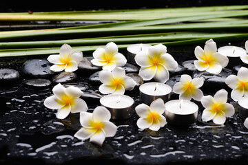 spa still life of with pile of frangipani with candle 
and zen black stones ,and green long leaves wet on background

