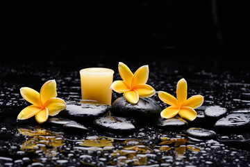 still life of with three 
yellow frangipani and ,candle zen black stones ,wet background
