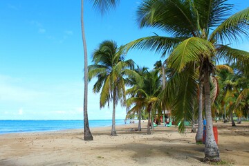 Fototapeta premium Luquillo Beach, Puerto Rico